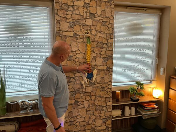 'Dr. Mayer László - csontkovács budapest