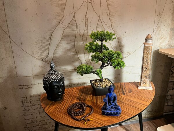 'Dr. Mayer László - csontkovács budapest